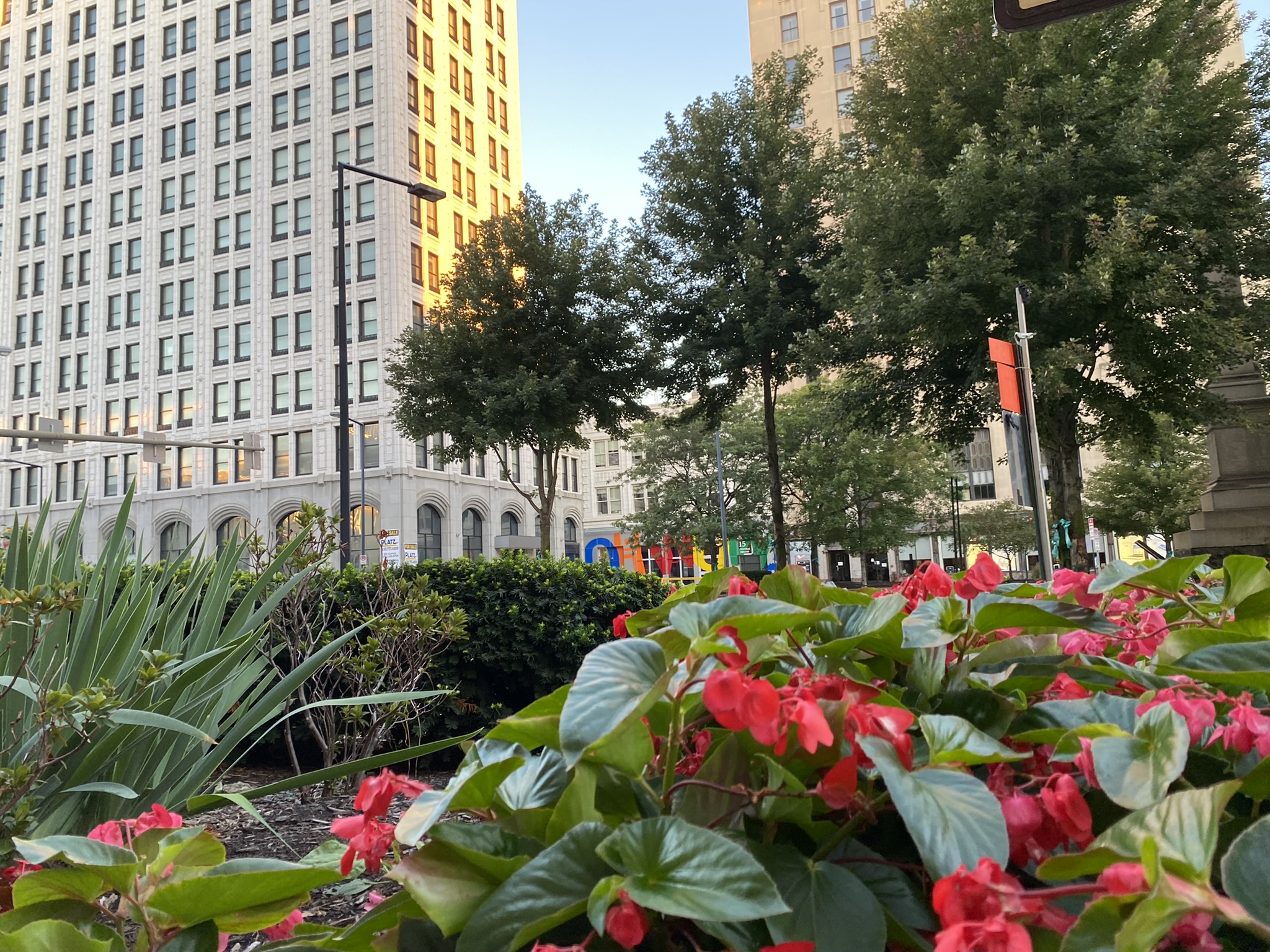 Youngstown 2030! Creating vibrant places and spaces