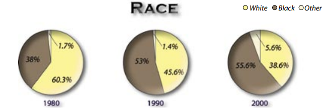 North Side racial distribution chart