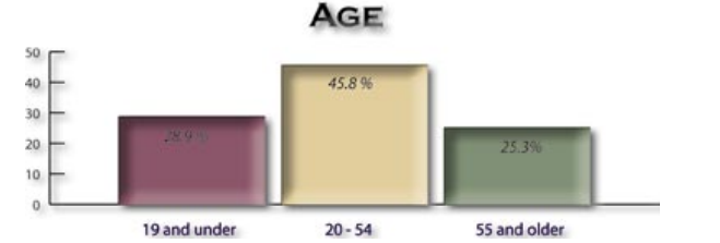 Youngstown 2010 Plan - Age Distribution