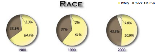 Youngstown 2010 Plan - Racial Distribution