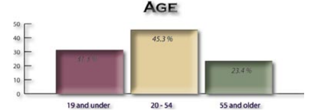 Youngstown North Side age distribution chart